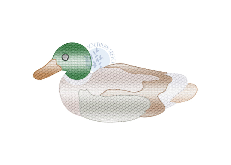 Sketch Mallard Duck