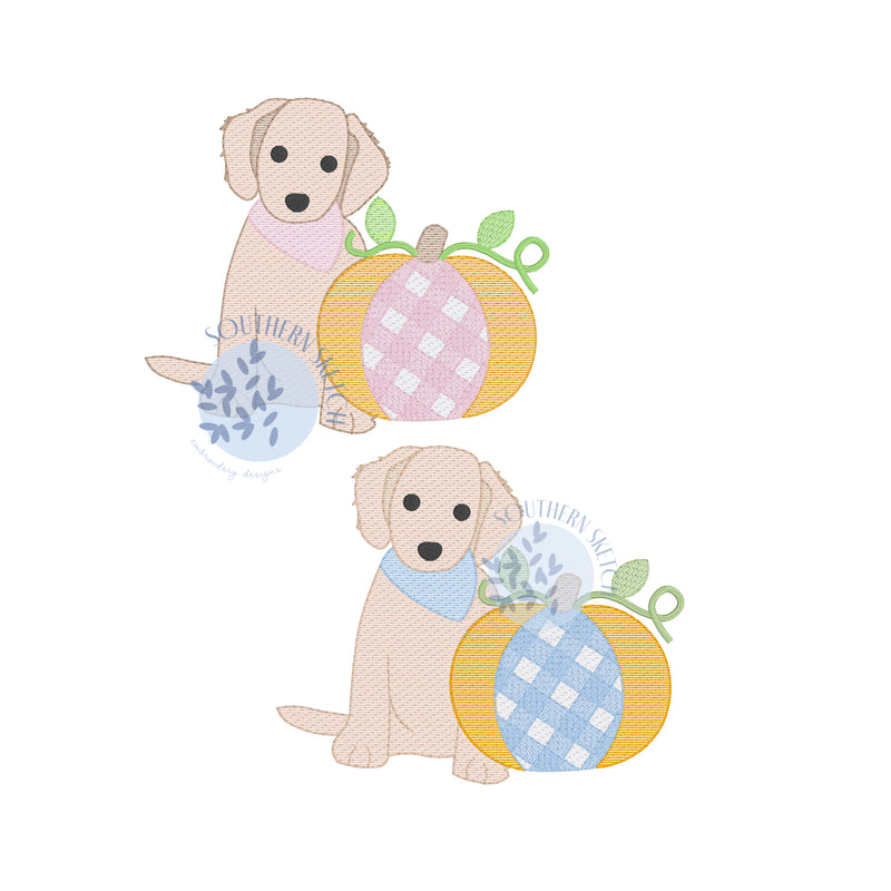 Pumpkin Puppy
